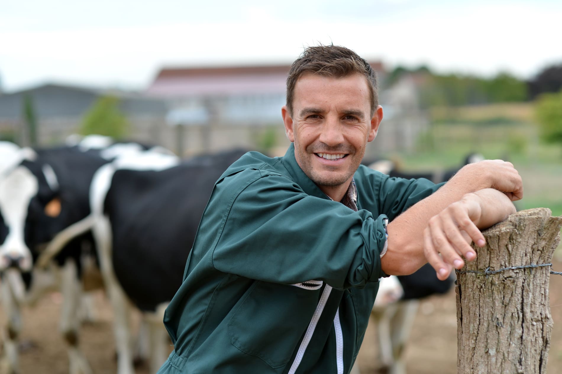 agriculteur-eleveur-bovin
