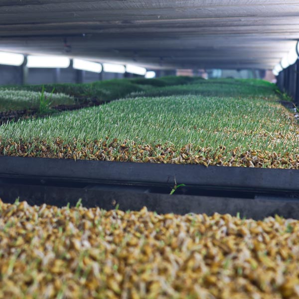 hydroponie-automatisme-demetech